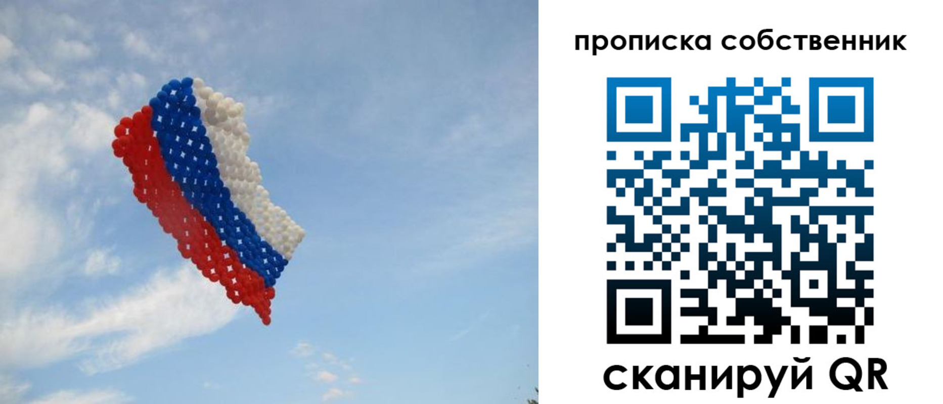 временная регистрация поиск в Снежногорске