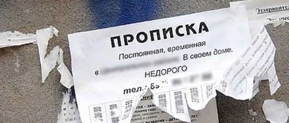 прописка в Снежногорске